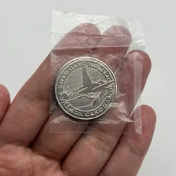 In hand, from Pokémon Coin Fan, full size