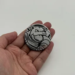 In hand, from Pokémon Coin Fan, full size