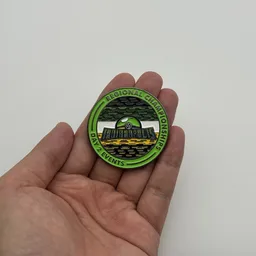 In hand, from Pokémon Coin Fan, full size
