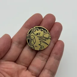 In hand, from Pokémon Coin Fan, full size