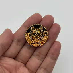 In hand, from Pokémon Coin Fan, full size